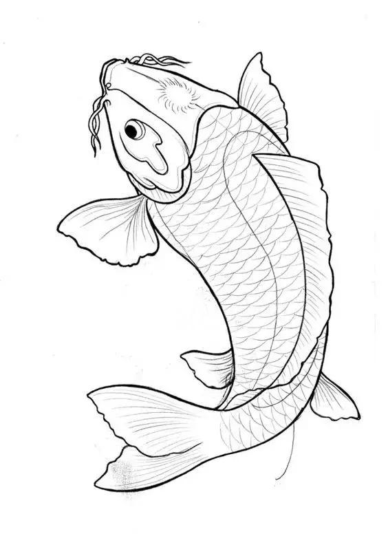 转运锦鲤简笔画,简笔画100种锦鲤图片