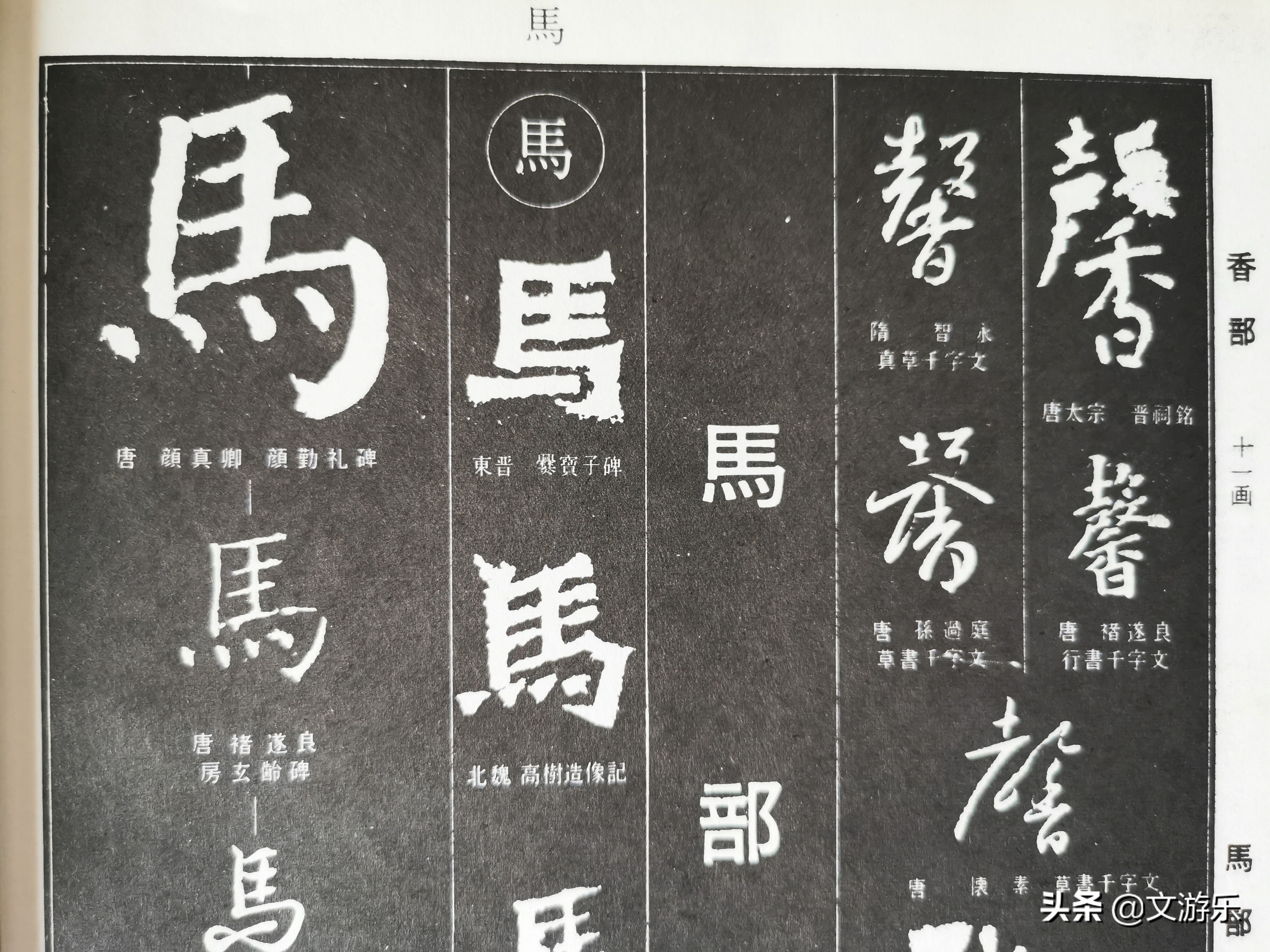 马尾有什么涵义,马尾是鬃毛吗