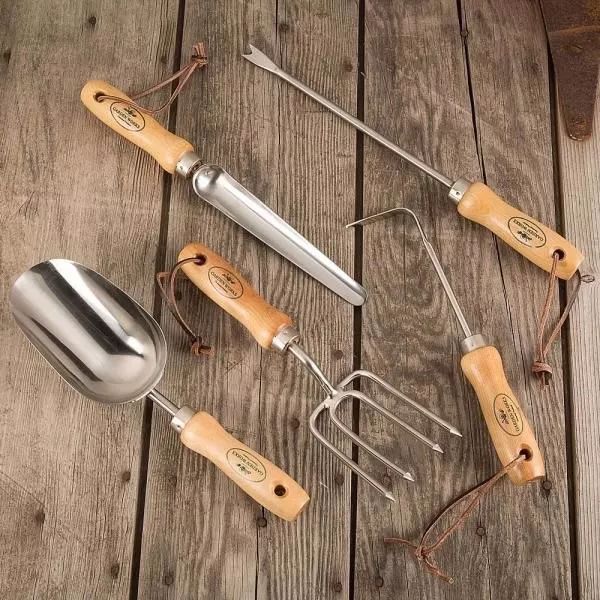 露台上的植物怎么过冬,植物过冬的方式有哪些