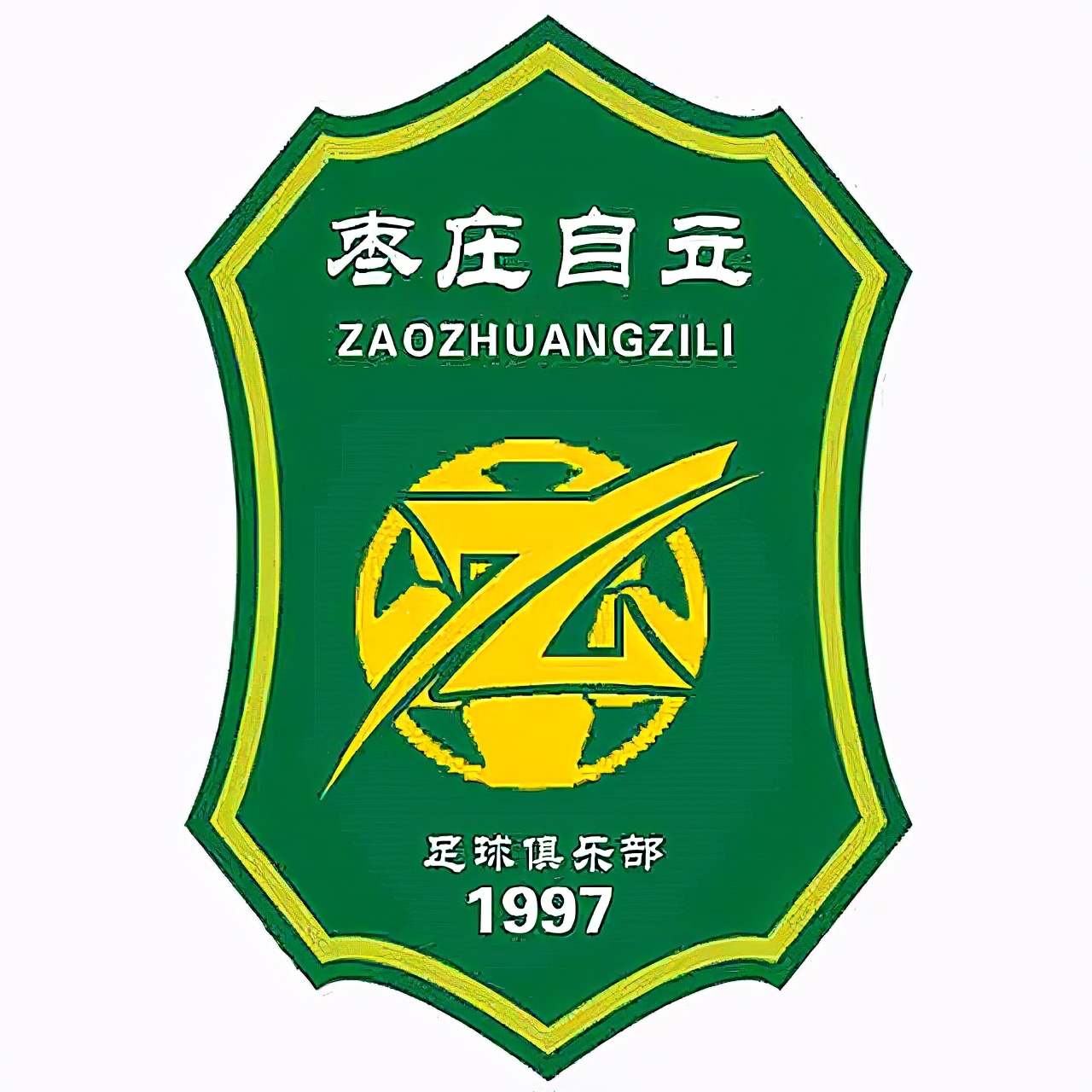 山东省青少年足球联赛队徽,山东省队徽章