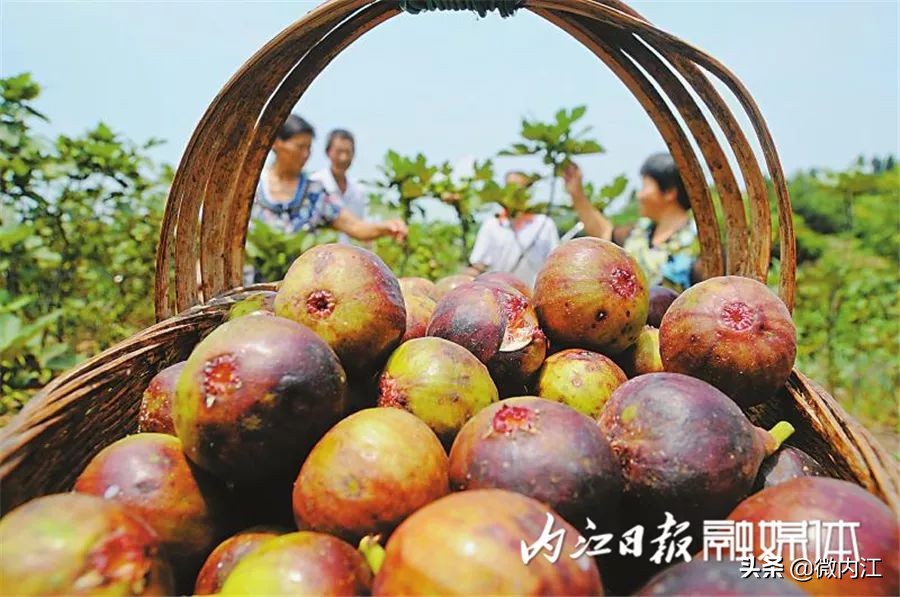 内江增长迅速,内江继续前进