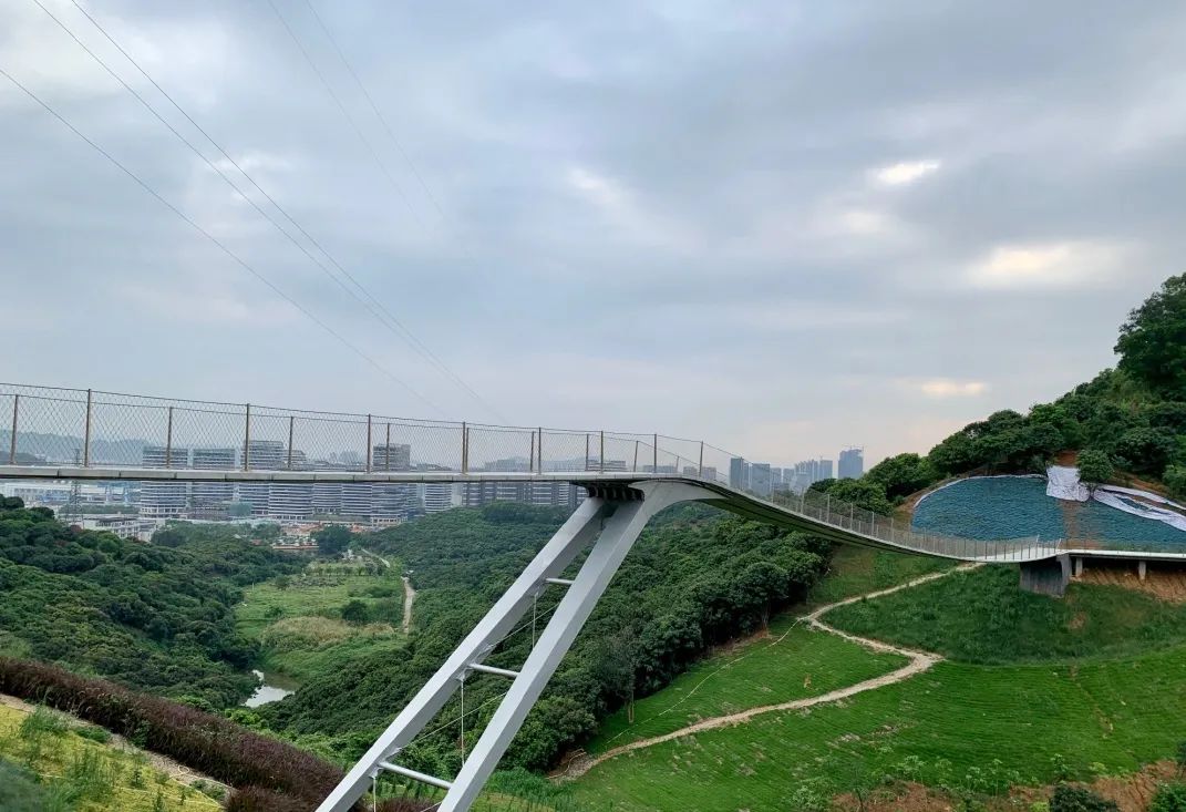 深圳天空之镜网红玻璃桥,深圳玻璃桥免费旅游攻略