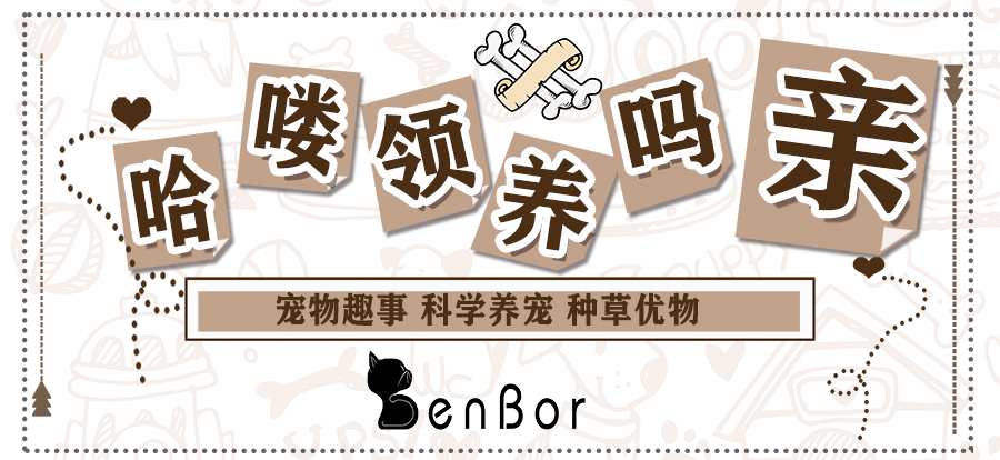 为什么猫怕水却爱吃鱼呢,猫怕水但是为什么爱吃鱼