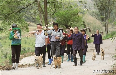 融安县大良镇古兰村覃彩榴带领群众建设脱贫致富路的故事