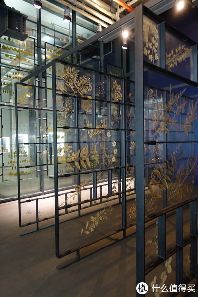 德国西北自由行,德国旅游攻略和特点