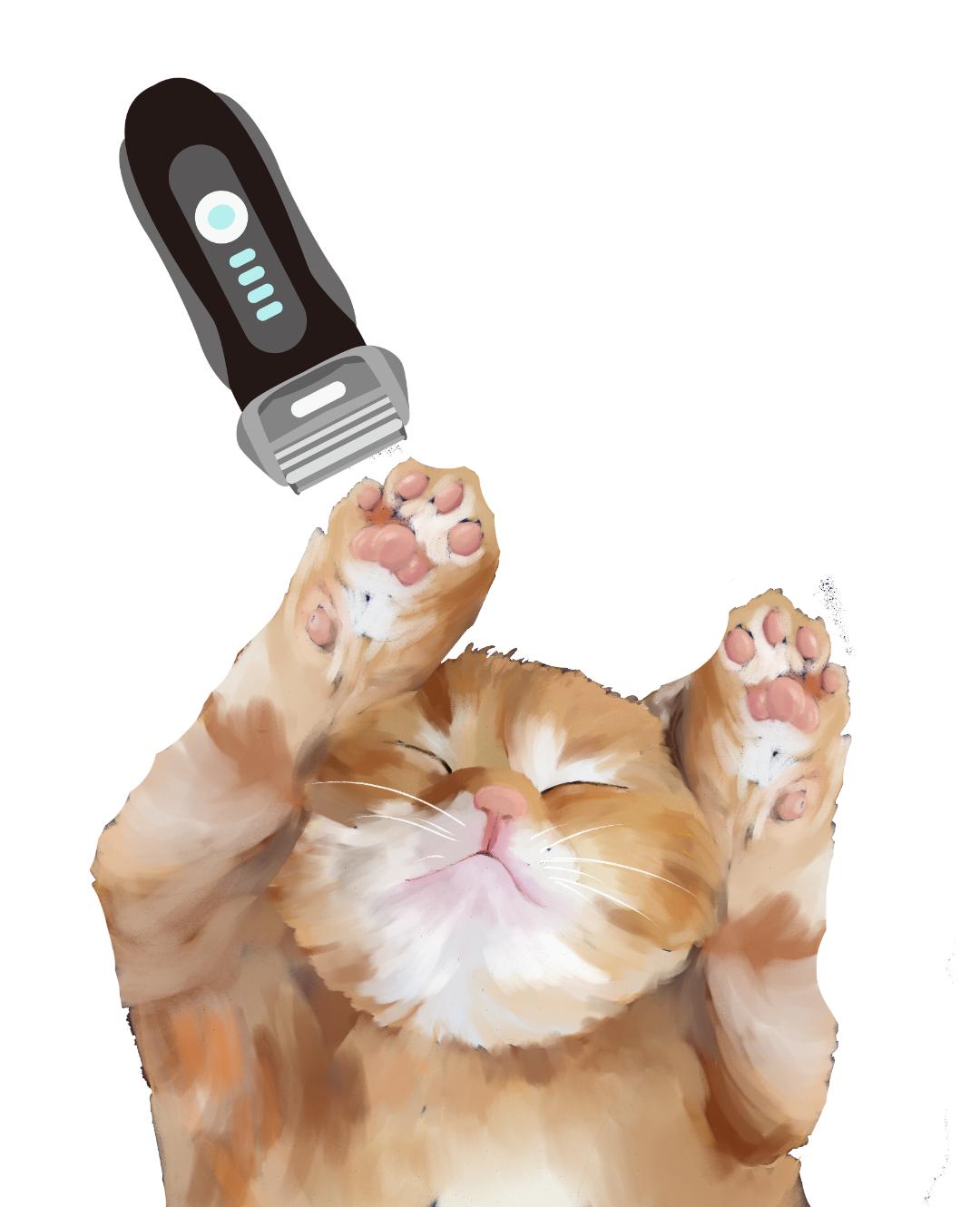 猫咪爪子剪裂开了怎么办,猫咪爪子指甲中间开裂