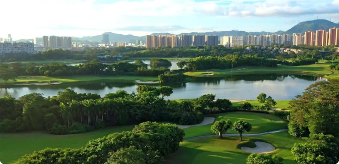 在深圳安家要有多少钱,在深圳安家真实感受