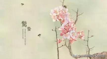 倪海厦讲惊蛰刺络放血,惊蛰四缝穴放血