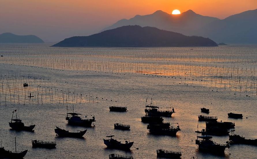 霞是光，浦是海：光与海的对话，吟唱出最美的滩涂