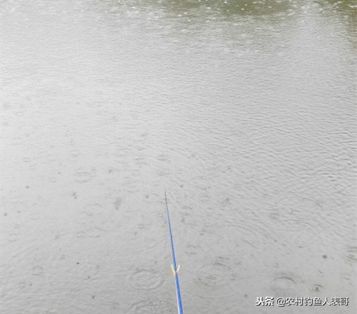 冬季钓鱼不打窝技巧,野钓不空军技巧