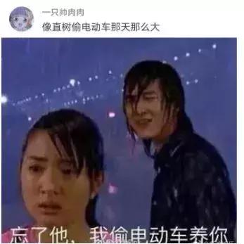 天气太冷猫咪不怎么吃喝,天气不好猫没精神