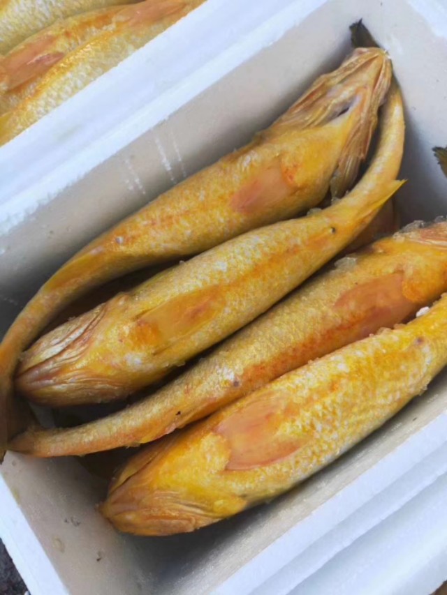 新鲜海鲜保存是冷冻好还是冷藏好,海鲜是煮熟了保存还是生的保存