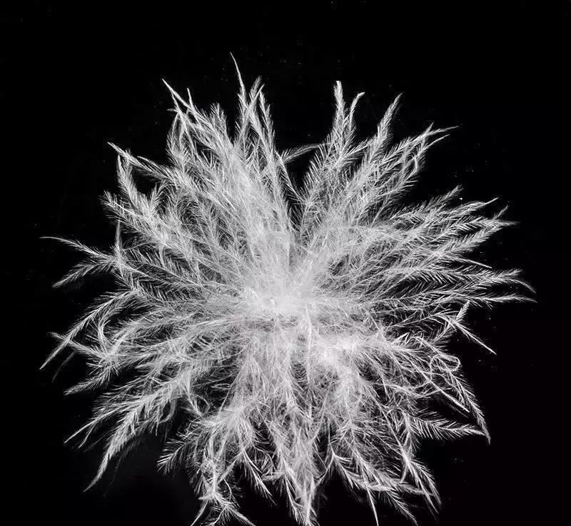 羽绒棉服老是要钻毛,穿衣不踩雷的色彩搭配