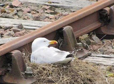 广州黄埔克拉克公寓价格,日照克拉克公寓