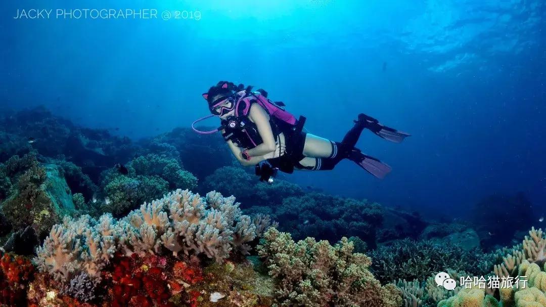 水肺潜30米休闲潜水教程,水肺潜水入门基础教程