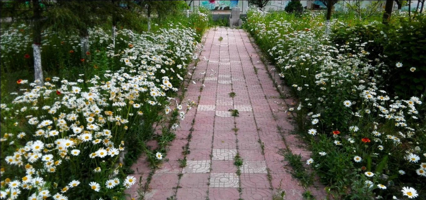 咸阳纳凉避暑好去处免费,西安咸阳避暑纳凉好去处