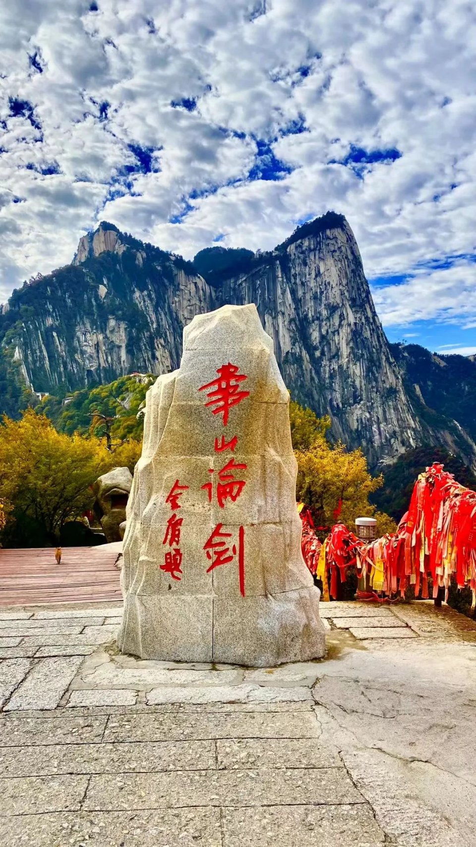 直播丨侠动北峰，一叶知秋