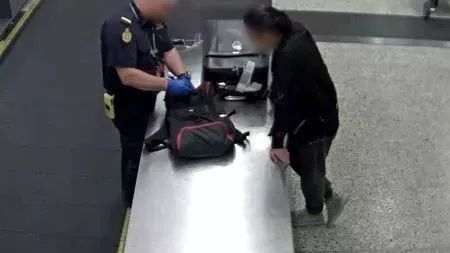 澳洲入境禁带哪些食品,入境澳洲带零食会罚款多少