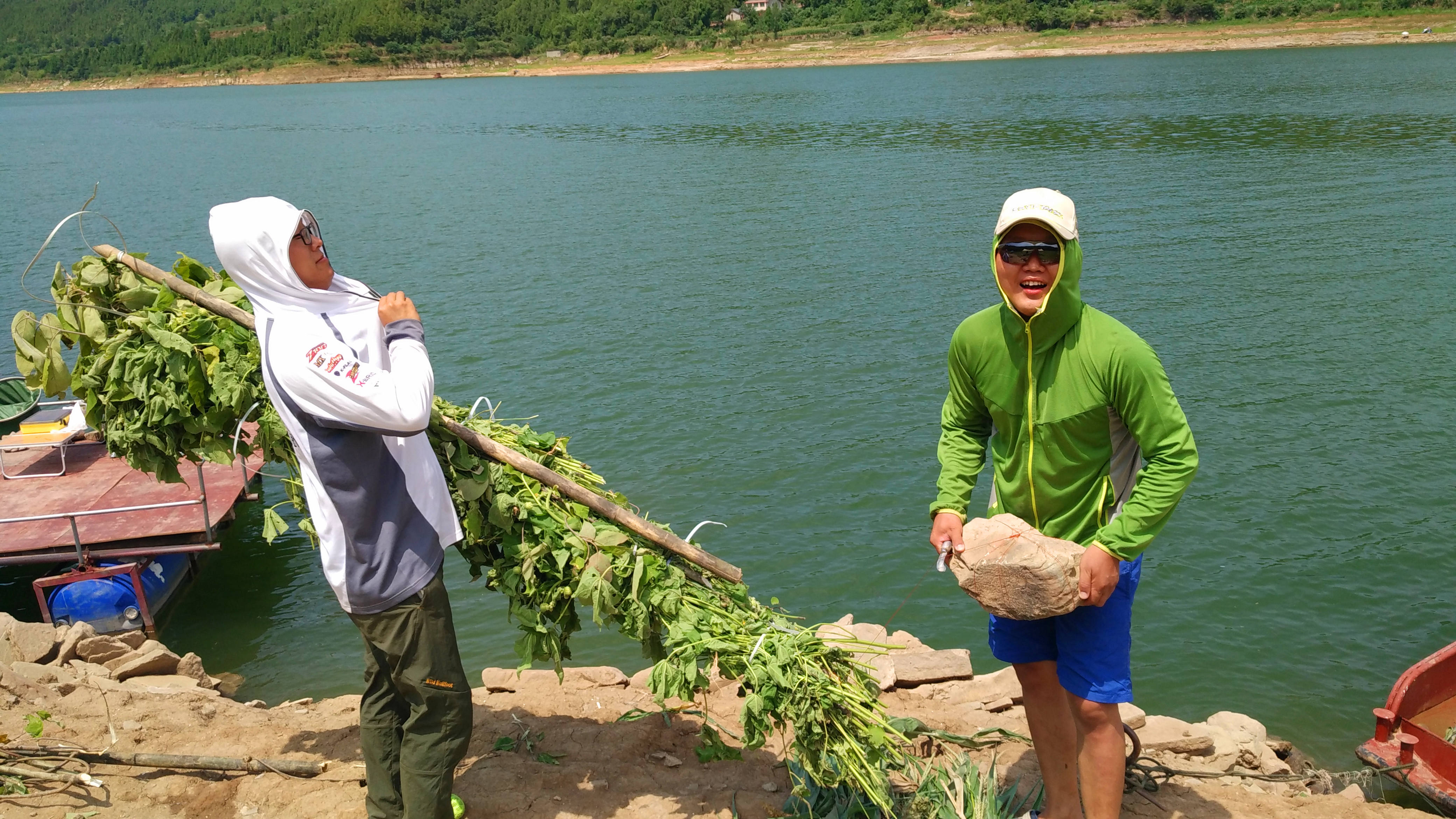 肥水草鱼窝料,综合塘草鱼窝料