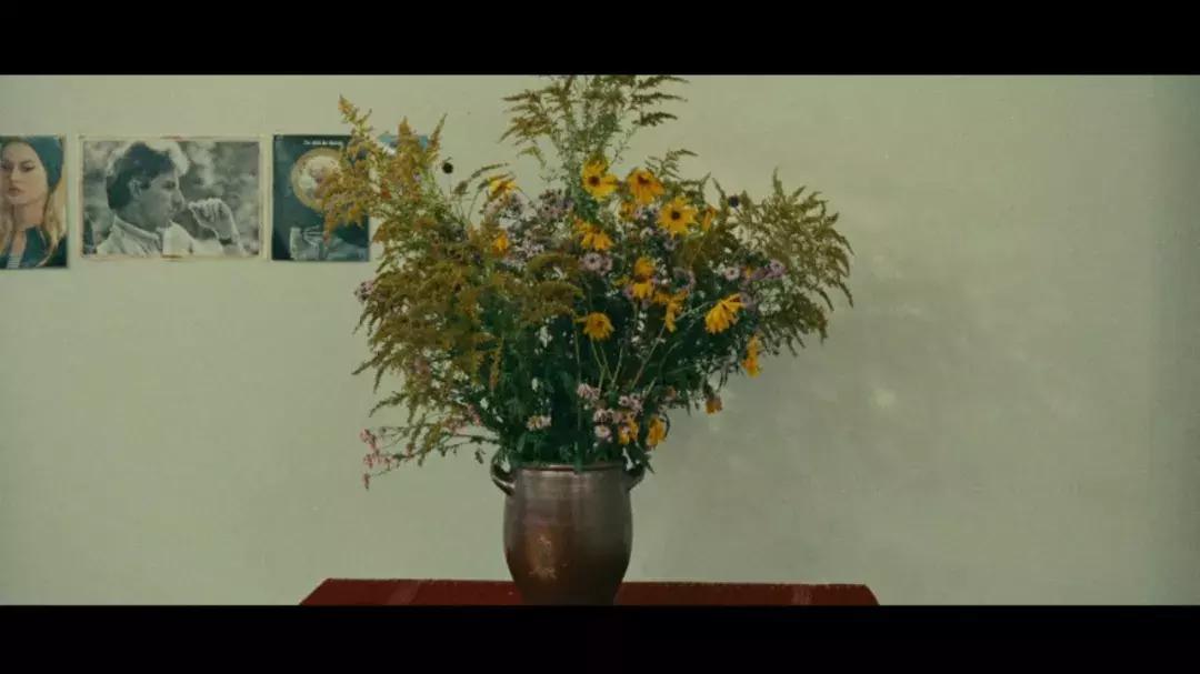 手机拍照怎么拍出电影的感觉照片,手机摄影如何拍出电影感照片