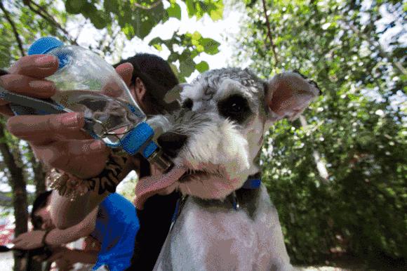 科普一下喝水的技巧,喝水也有大讲究正确方式学起来