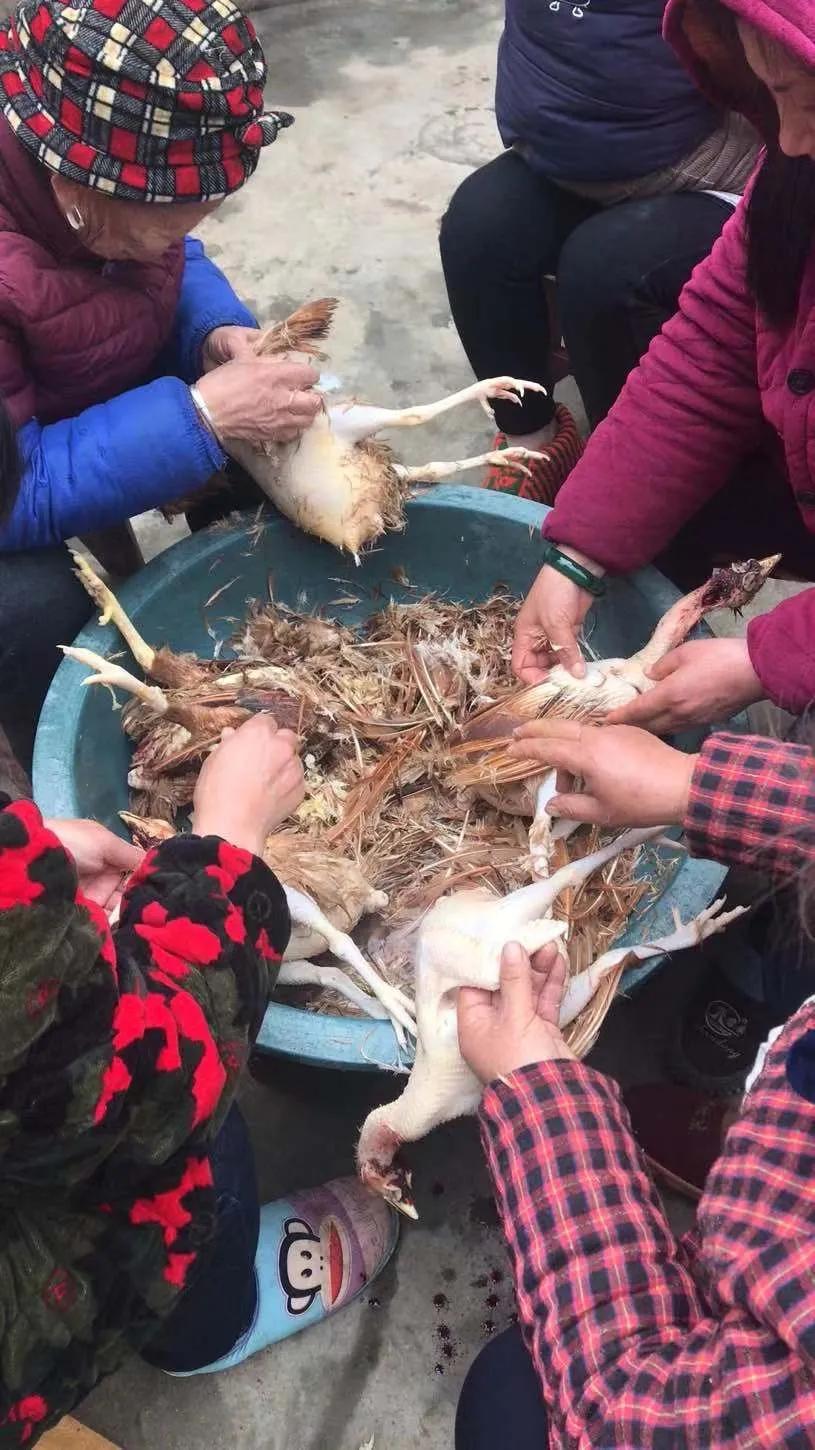 18口人每天吃掉40只鸡,18个人滞留老家