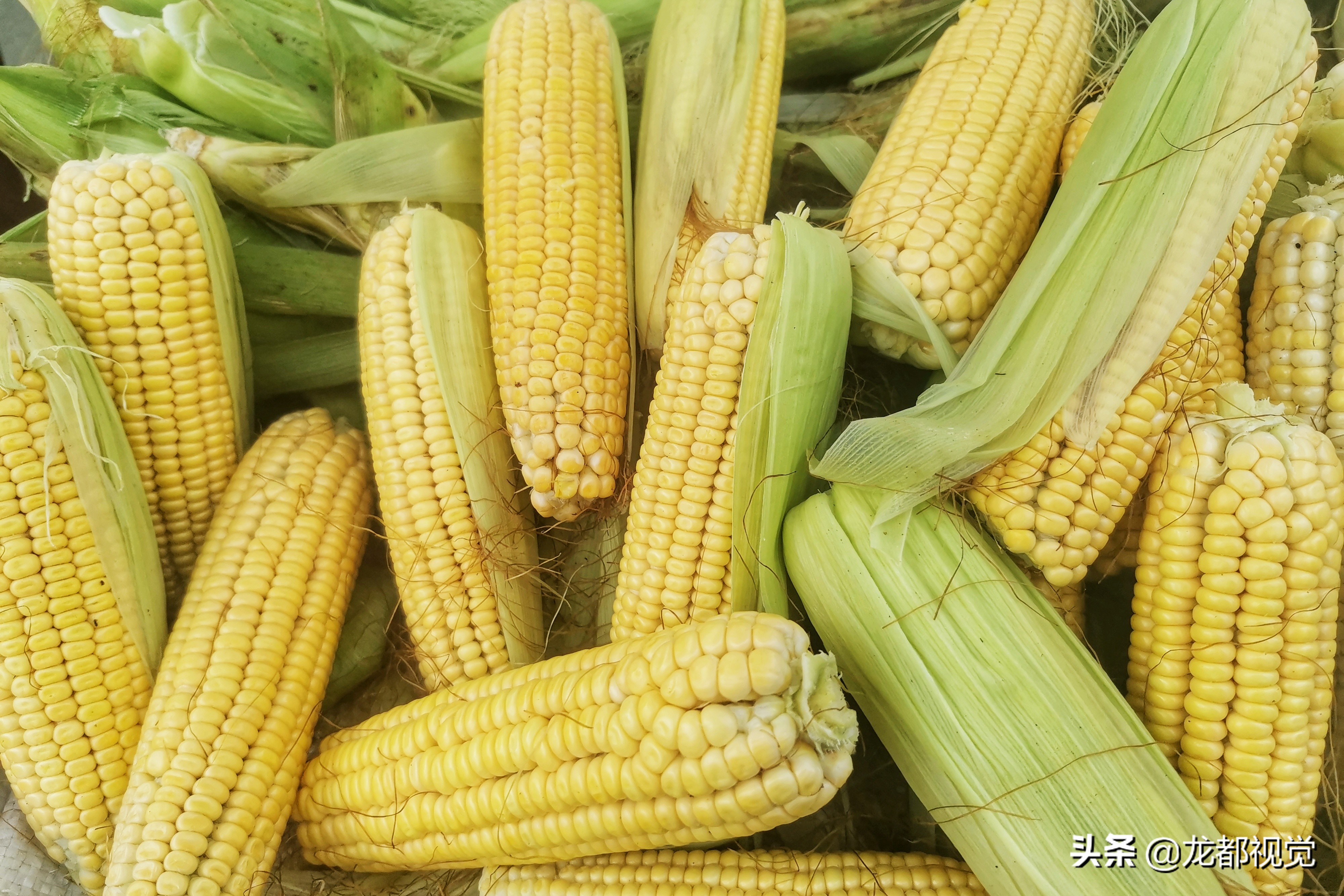 河南大姐卖玉米有诀窍，短时间内一车就被抢购完