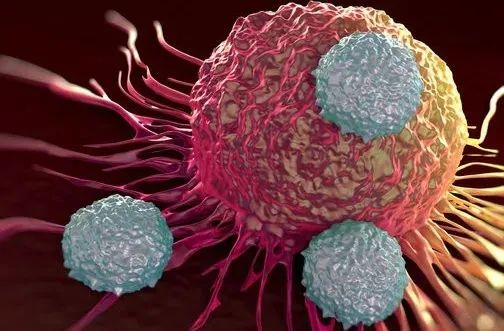 嘴唇长泡引起溃烂,嘴唇上火起水泡和疱疹区别