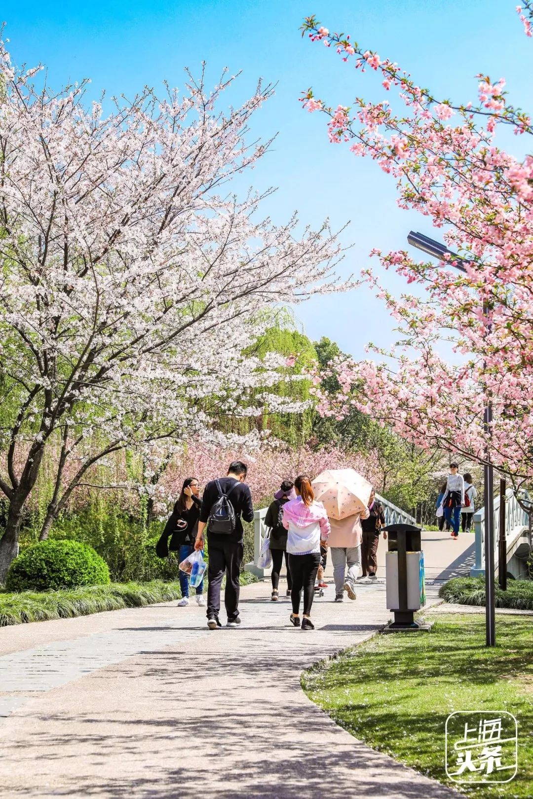 吵翻了！上海16个区终于正面PK！哪个是你心中的“扛把子”？