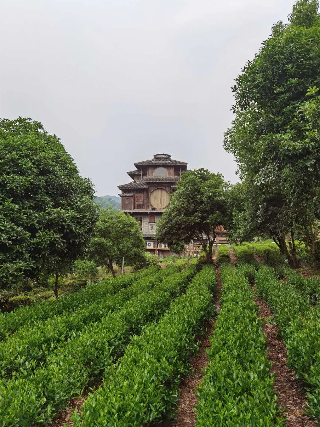 杭州这家俯瞰西湖的日料店,这家开了6年的日料小店