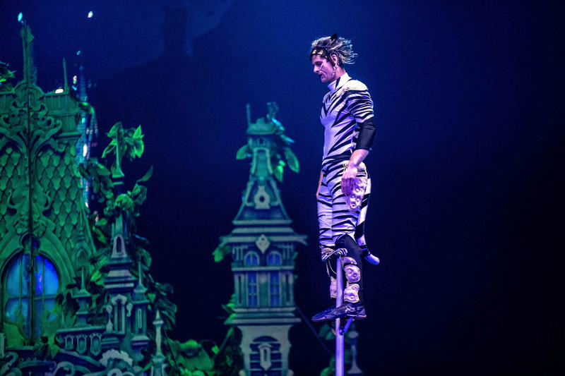 广州长隆野生动物世界的游玩攻略,广州长隆野生动物世界一日游回顾