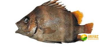 舟山海鲜攻略2天3晚吃什么,舟山海鲜代加工攻略