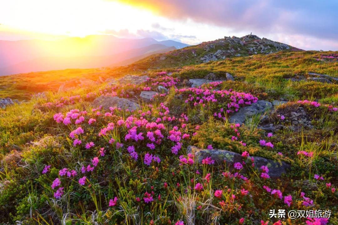 五一重庆自驾好去处,重庆出发五一推荐游玩的地方