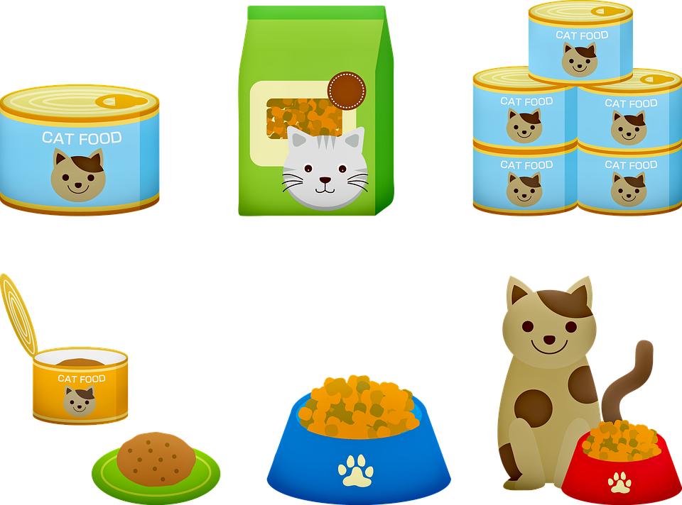 进口猫粮怎么买才能买到正品,进口猫粮推荐吃什么