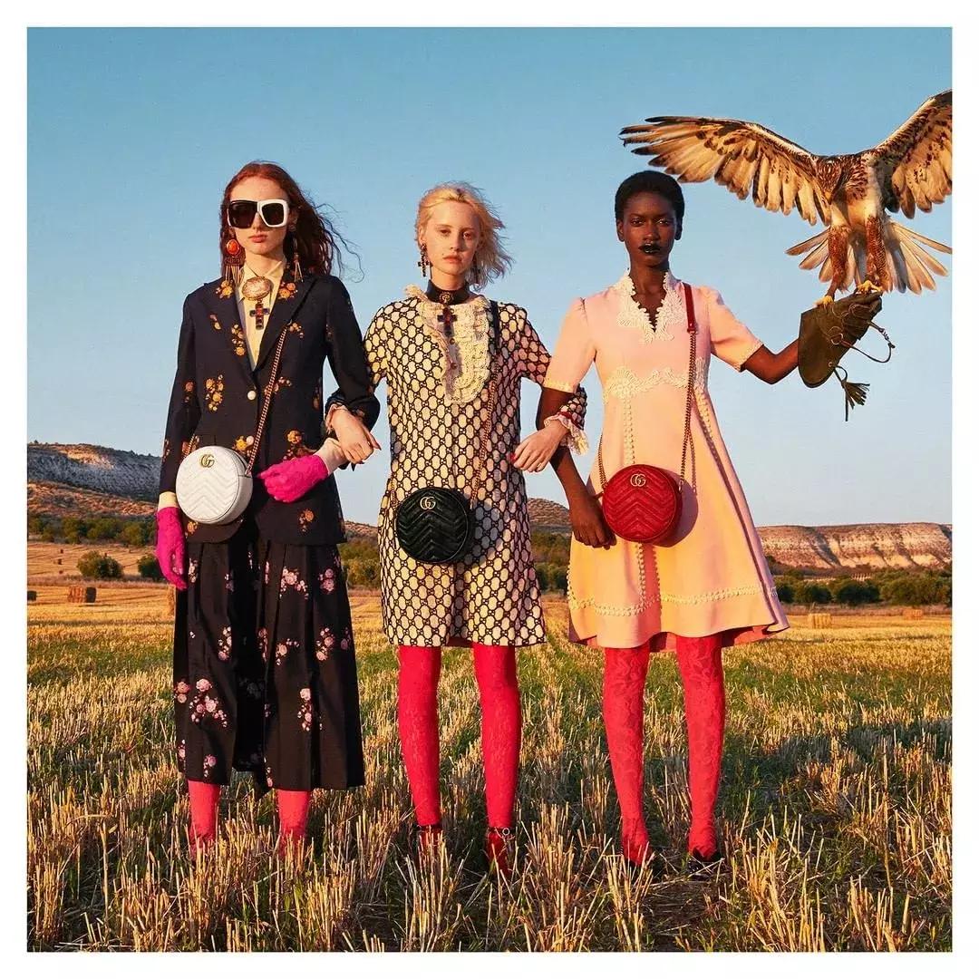 lvchanelgucci哪个值得买,lv和Gucci最值得入手的包