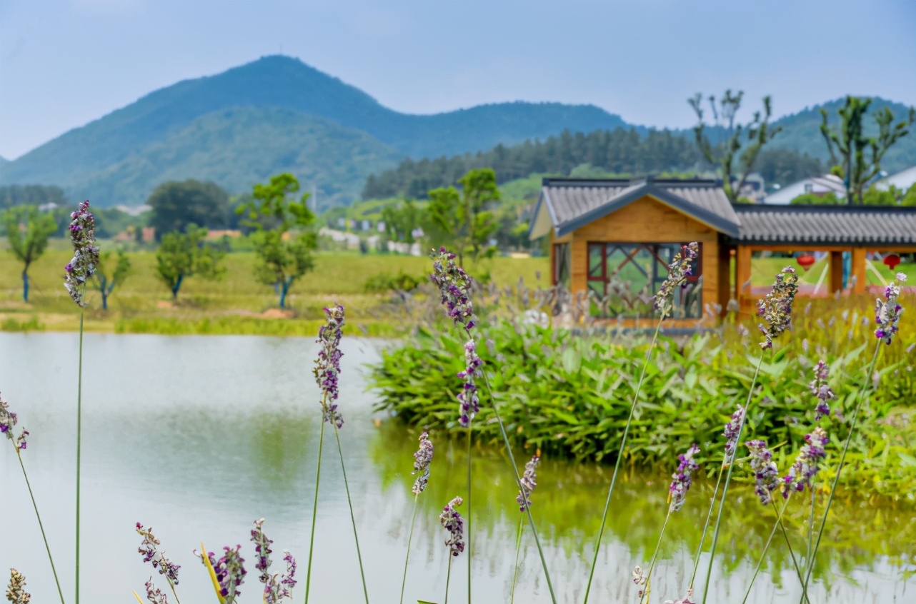 茅山句容和金坛打卡点,茅山必去景点