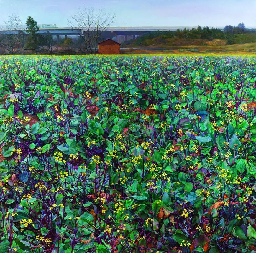 第十三届全国美术作品展油画作品,全国第十一届绘画展油画作品