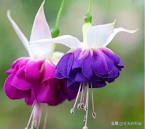 绝！绝！绝！这条微信谁编的？太有才了