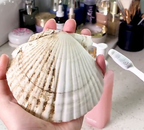 绝佳美人在线阅读,绝佳美人是什么意思