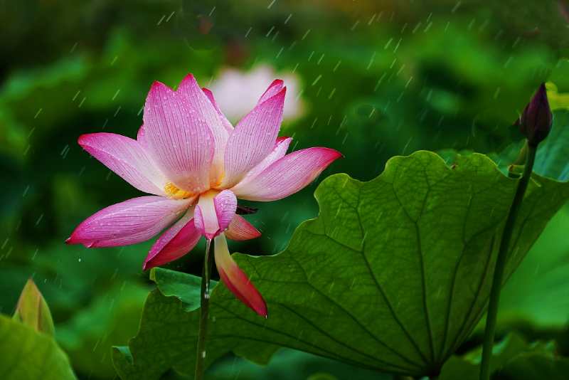 李永明山水画作品,李永明散文