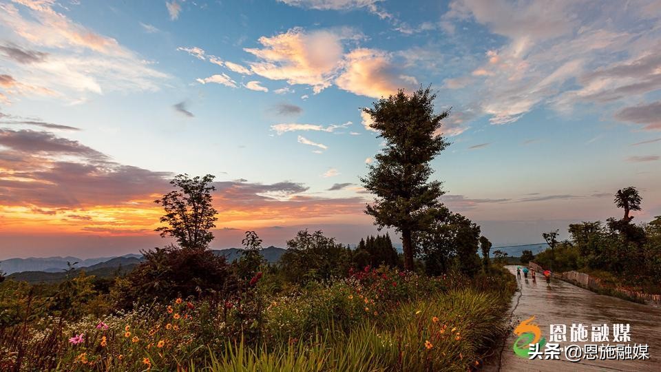 李伦英：用镜头记录家乡的美丽