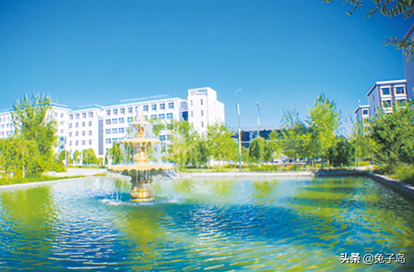 疆内大专职业学校名单,疆内最好的大专学校排名