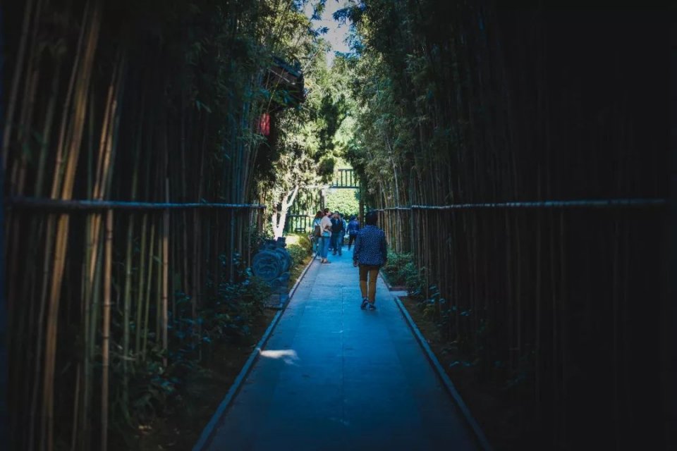 南昌12月必游景点大全,暑假南昌一日游必去的5个景点