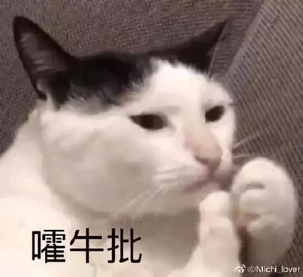 今天才明白什么叫:别队看球要钱,狗刺看球要命了!