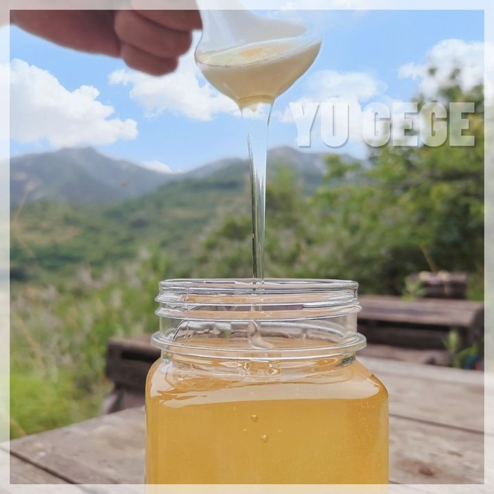 新西兰康维他蜂蜜功效,为什么新西兰的蜂蜜这么贵