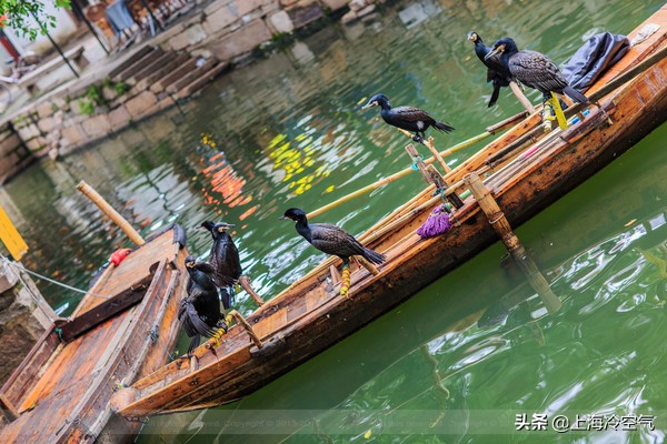 西方的威尼斯已经凉凉还是去苏州的“东方的威尼斯”看看吧