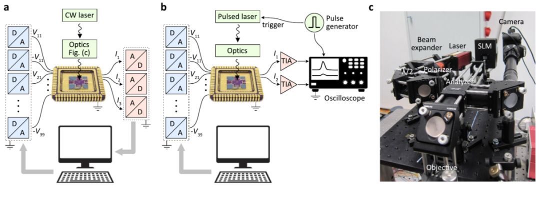 nature最新科研,nature最新研究证明