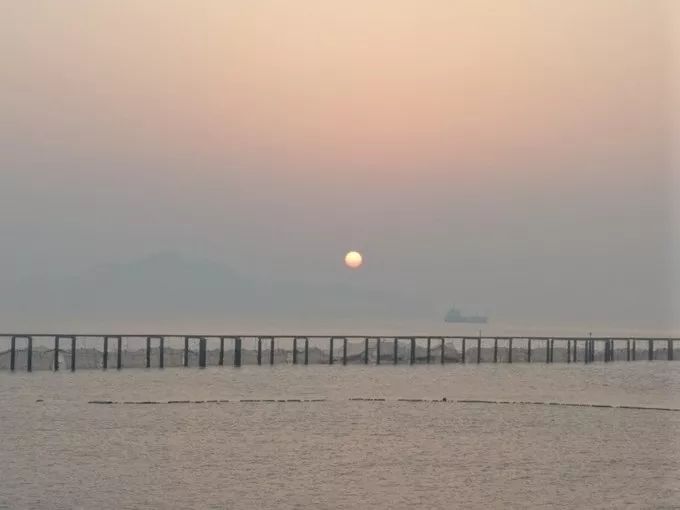 上海去桃花岛的自驾轮渡时间表,上海开车去舟山桃花岛怎么去