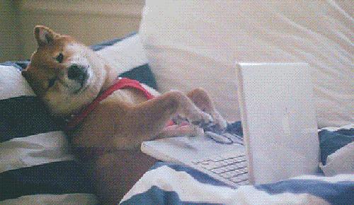 夏天来了下河抓鱼,夏天到了河边捉鱼