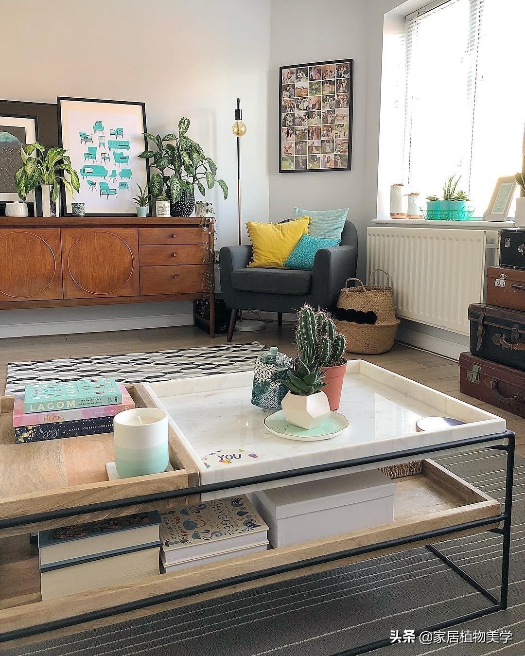 假期中,家里的「留守植物们」该怎么办呢?